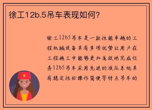 徐工12b.5吊车表现如何？