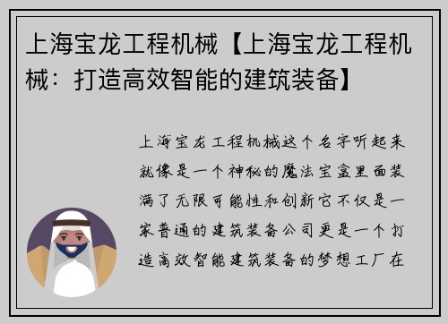 上海宝龙工程机械【上海宝龙工程机械：打造高效智能的建筑装备】