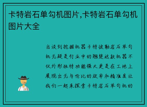 卡特岩石单勾机图片,卡特岩石单勾机图片大全