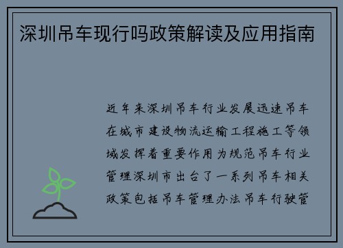 深圳吊车现行吗政策解读及应用指南